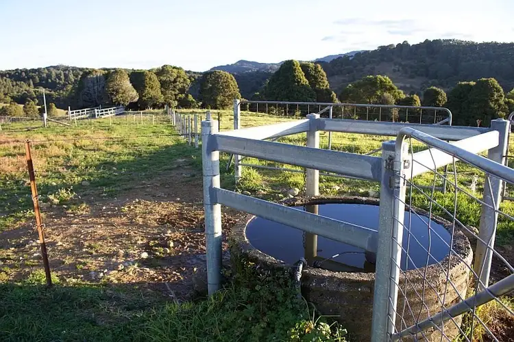 Seventh view of Homely rural property listing, 5615 Waterfall Way, Dorrigo NSW 2453