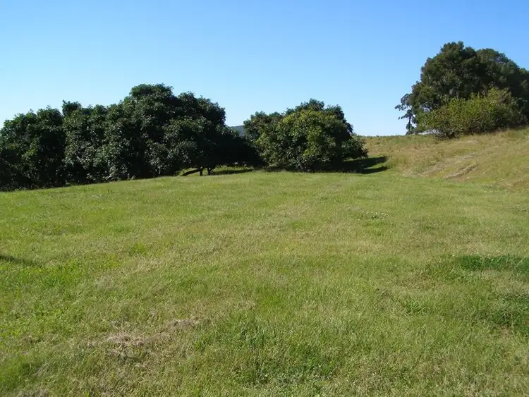 Fourth view of Homely rural property listing, 187 Tyalgum Creek Road, Tyalgum Creek NSW 2484