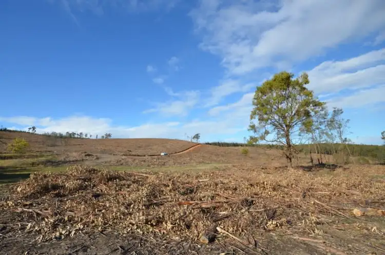 Seventh view of Homely rural property listing, Papadimitriou Graveyard Hill Road, Raglan VIC 3373
