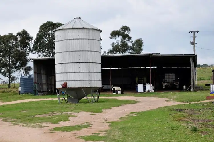 Seventh view of Homely rural property listing, 1167 Black Swamp Road, Tenterfield NSW 2372