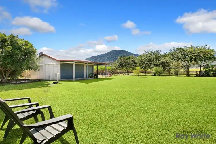 Fourth view of Homely rural property listing, Lot 1 Gray Road (Cnr Brown Rd and Phillip Gray Rd), Green Hill QLD 4865