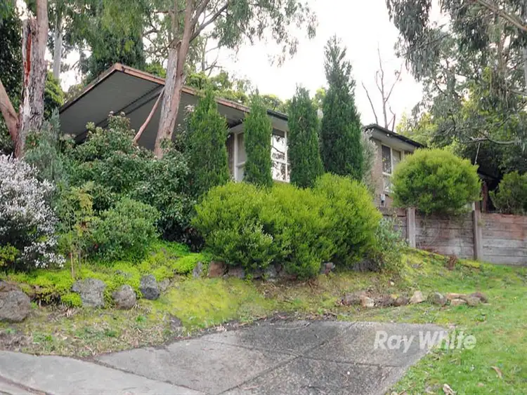 22 Craig Avenue, Ferntree Gully VIC 3156