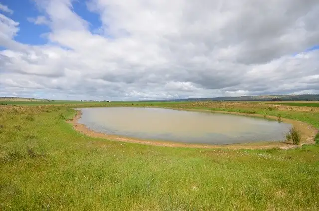 Fifth view of Homely rural property listing, Ma's and Lagoon Main Road, Robertstown SA 5381