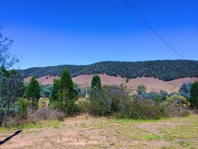 Second view of Homely rural property listing, 1791 Kangarooby Road, Gooloogong NSW 2805