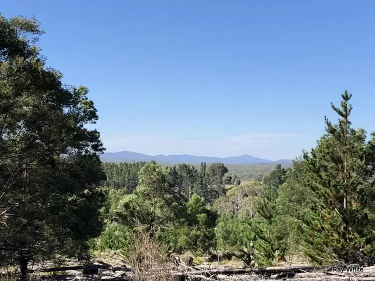 Lot 94 Back Creek Road, Braidwood NSW 2622
