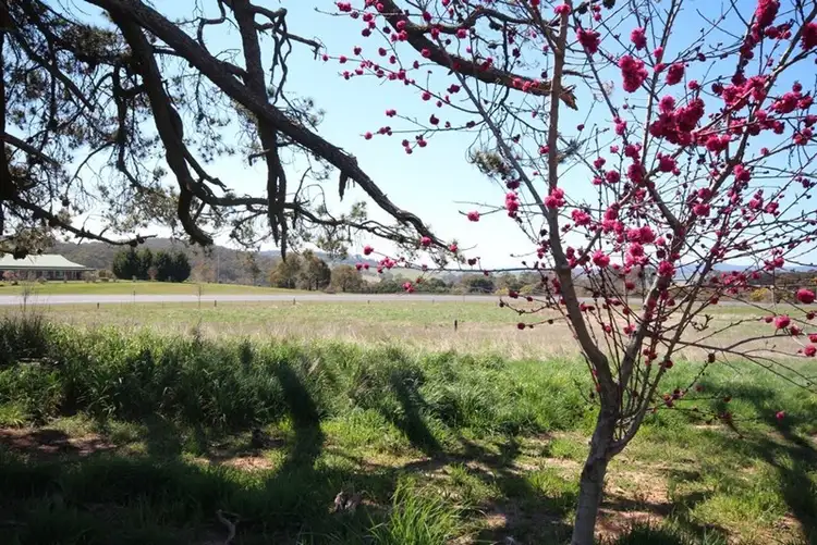 Fourth view of Homely land listing, 2A Blenheim Avenue, Oberon NSW 2787