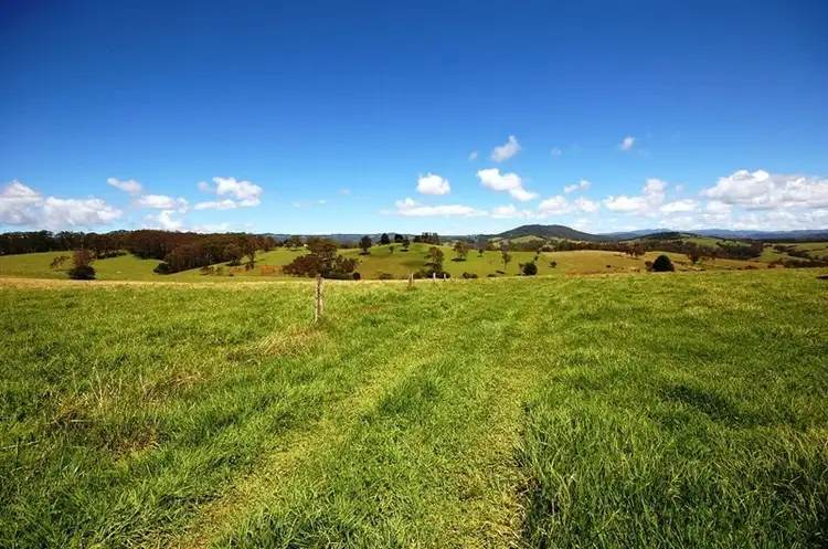 Main view of Homely rural property listing, 371 Old Coast Road, Dorrigo NSW 2453