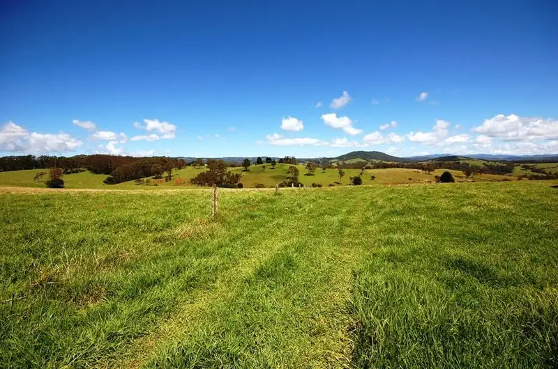 Main view of Homely rural property listing, 371 Old Coast Road, Dorrigo NSW 2453