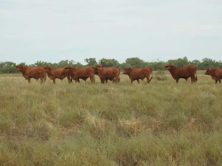 Fifth view of Homely rural property listing, Address available on request