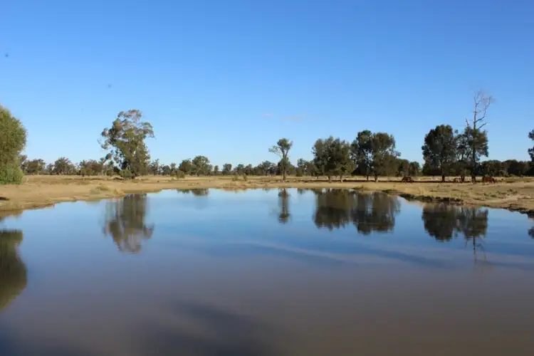 Seventh view of Homely rural property listing, 343 Merton Road, Yelarbon QLD 4388