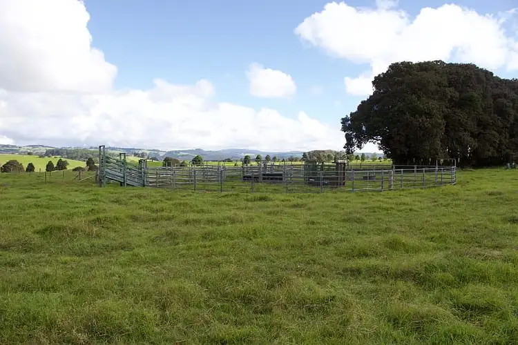 Fourth view of Homely rural property listing, 565 Old Coast Road, Dorrigo NSW 2453