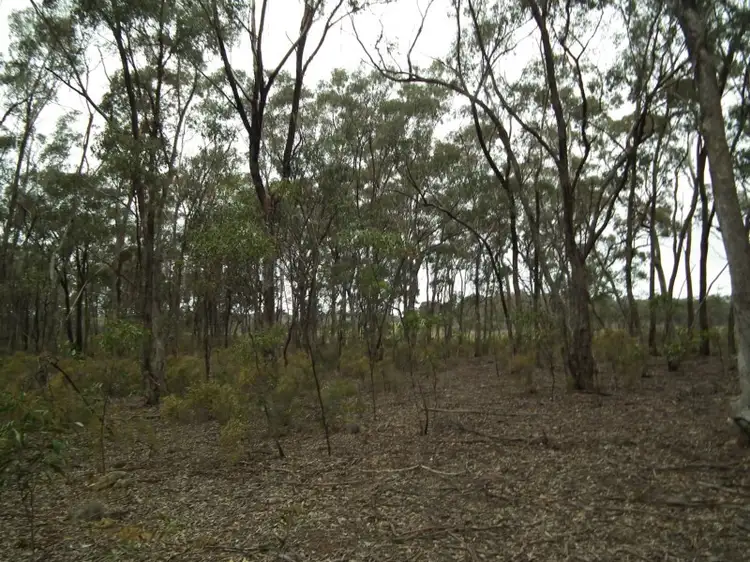 Lot 1 Spring Lane, Bailieston VIC 3608