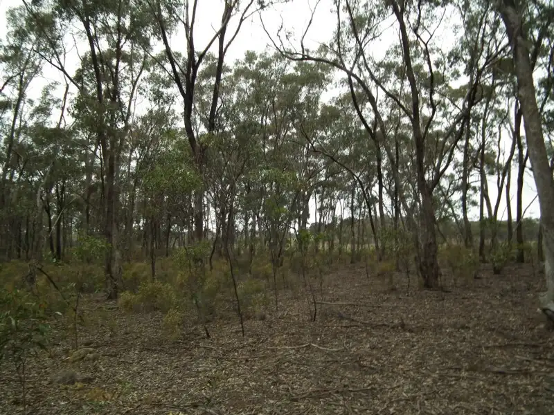 Main view of Homely rural property listing, Lot 1 Spring Lane, Bailieston VIC 3608