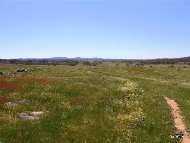 Fifth view of Homely rural property listing, 318 Larbert Road, Braidwood NSW 2622