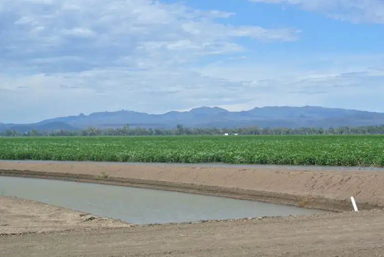 Third view of Homely rural property listing, "Riverstone" Narrabri, Narrabri NSW 2390