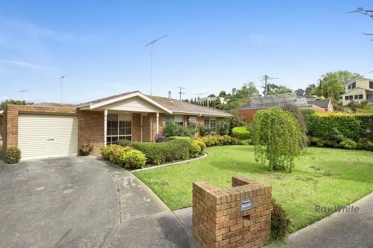1/19 Waurn Park Court, Belmont VIC 3216