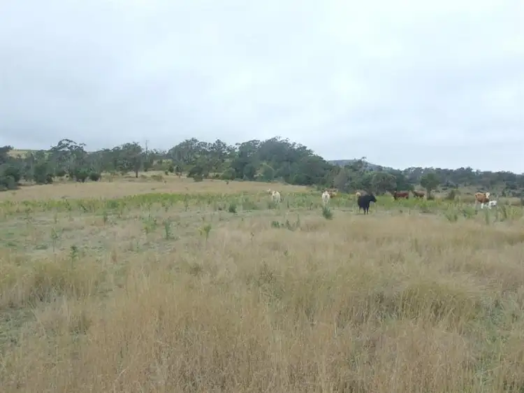Fourth view of Homely rural property listing, 568 Plainby Douglas Road, Crows Nest QLD 4355