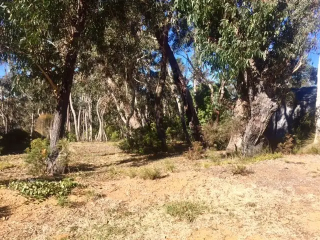253 Govetts Leap Road, Blackheath NSW 2785