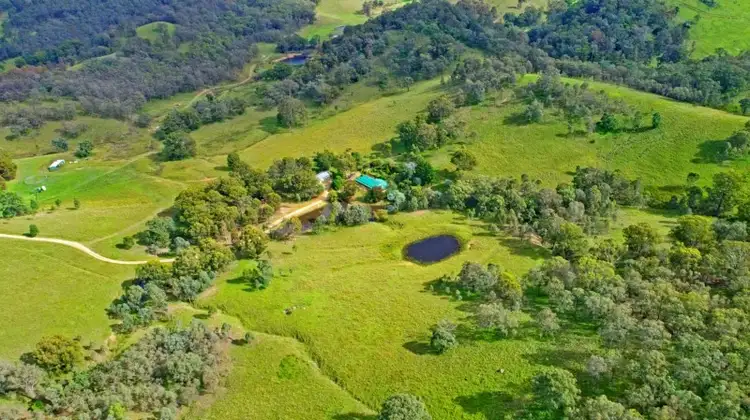 Second view of Homely rural property listing, 200 Gearys Crossing Road, Mt Olive, Singleton NSW 2330