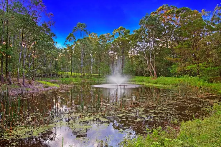 Fifth view of Homely house listing, 31 Tierney Road, Kurmond NSW 2757