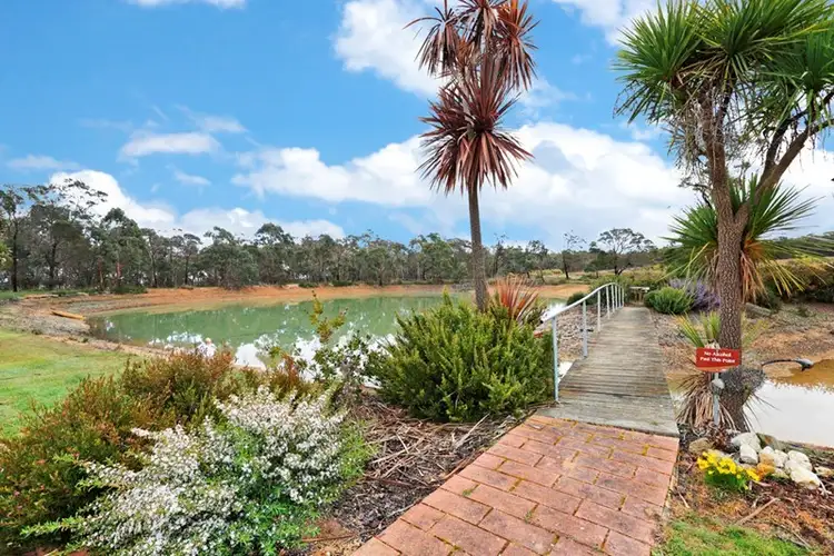Main view of Homely house listing, 459 Derwent Jacks Road, Berringa VIC 3351