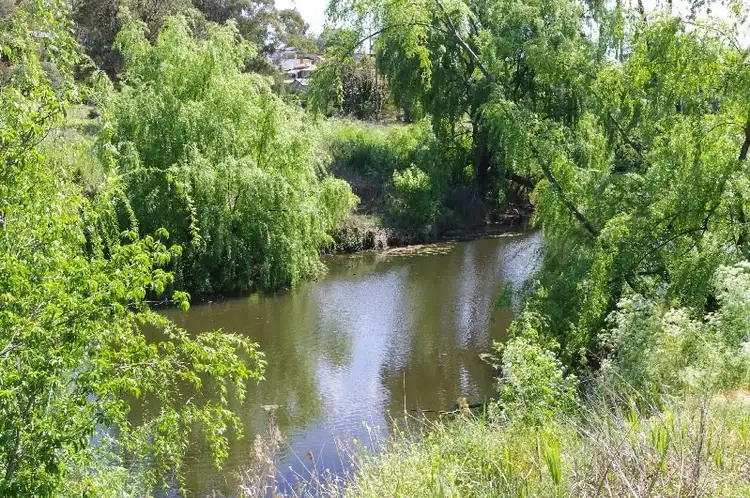 Lot 5 King Street, Inverell NSW 2360