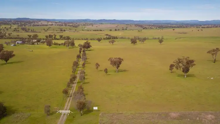 Second view of Homely rural property listing, 13068 New England Highway, Tamworth NSW 2340
