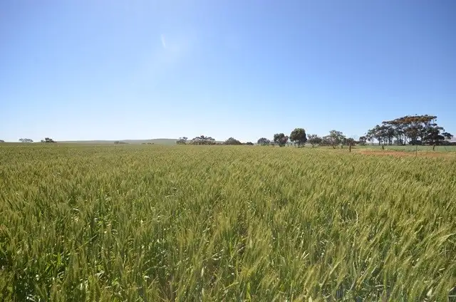 Fourth view of Homely rural property listing, Lots 21-25, 94 Sod Hut Road, Farrell Flat SA 5416