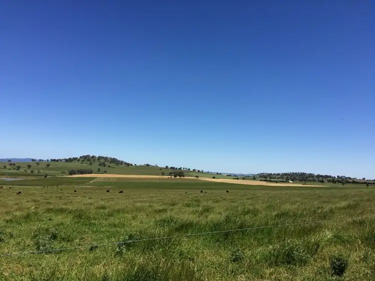 Sixth view of Homely rural property listing, 2006 Canowindra Road, Canowindra NSW 2804