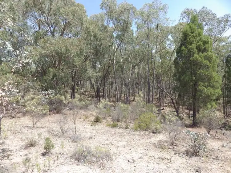 Fourth view of Homely rural property listing, Lot 9 Warrumba Road, Cowra NSW 2794