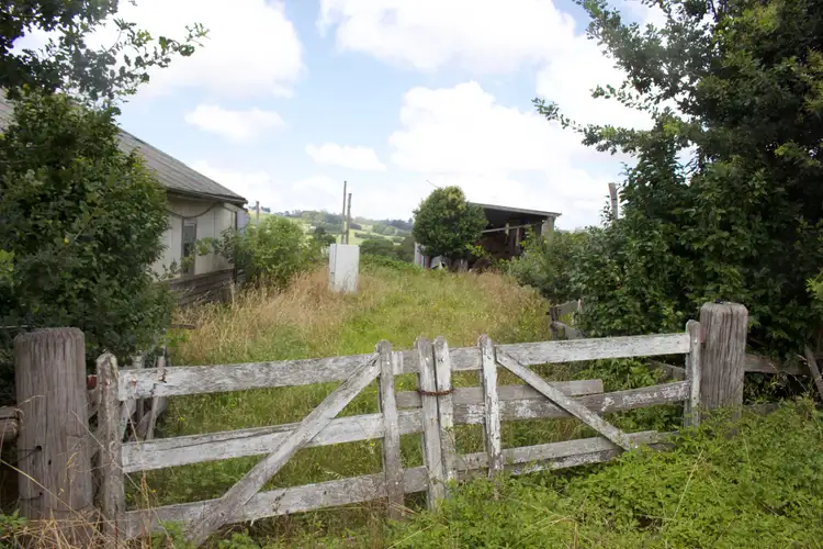 Fourth view of Homely rural property listing, 4303 Waterfall Way, Dorrigo NSW 2453