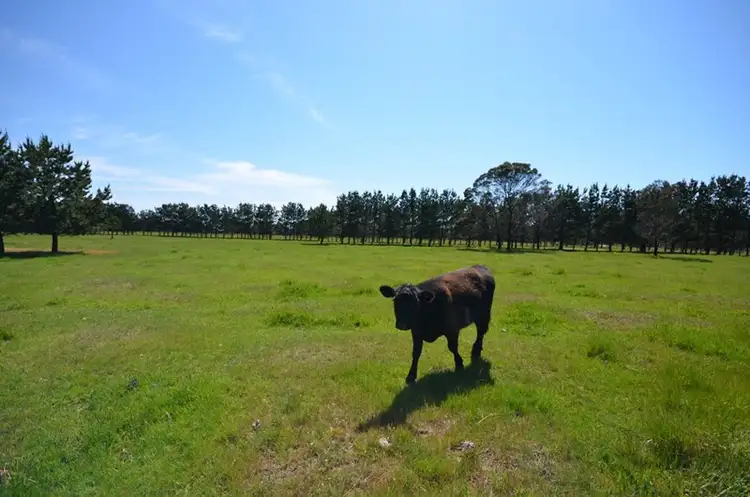 245 Happy Valley Road, Linton VIC 3360