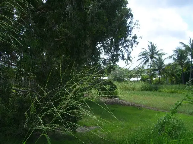 81 Hope Street, Cooktown QLD 4895