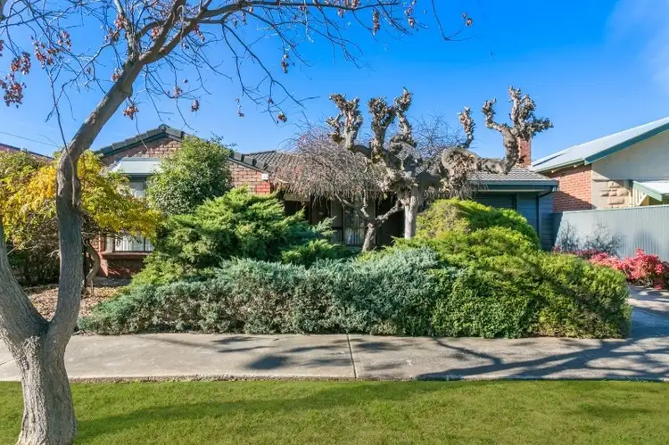 20 First Avenue, Cheltenham SA 5014
