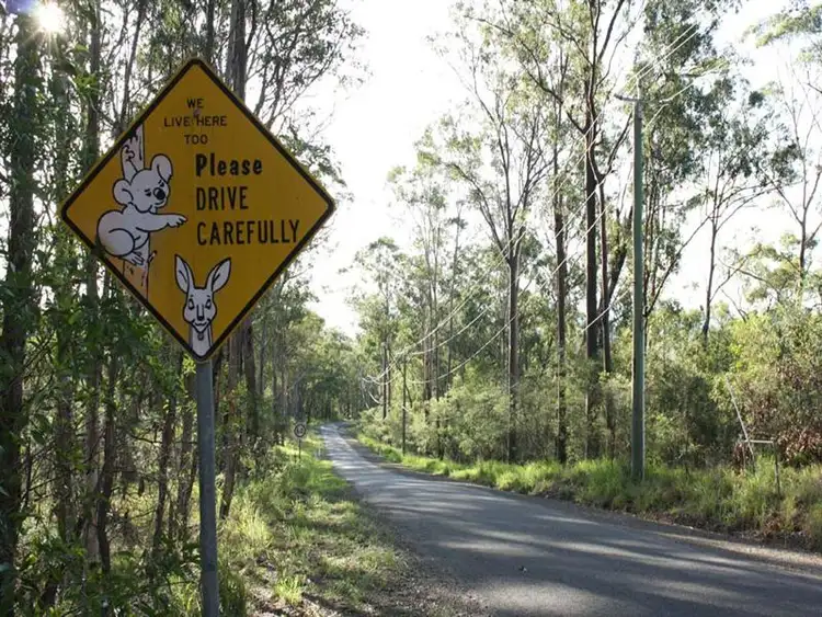 Third view of Homely rural property listing, 412 Dennis Road, Cedar Vale QLD 4285