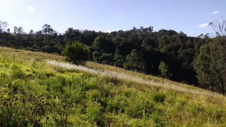 Sixth view of Homely rural property listing, Off Carrowbrook Road, Singleton NSW 2330