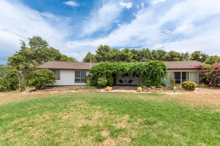 Third view of Homely rural property listing, 621 Coursing Park Road, Downside NSW 2650