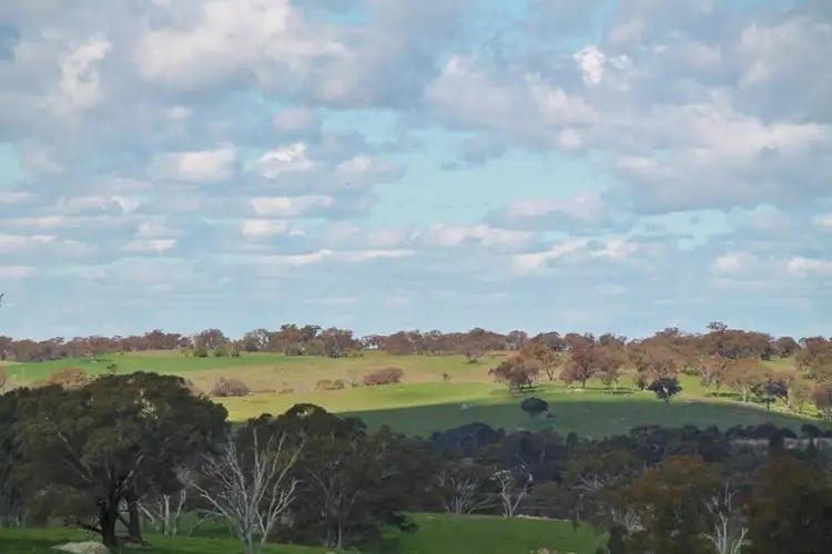 Third view of Homely land listing, 605 Spring Creek Road, Young NSW 2594