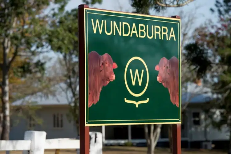 Second view of Homely rural property listing, 1318 - 1456 Neurum Road, Mount Archer QLD 4514