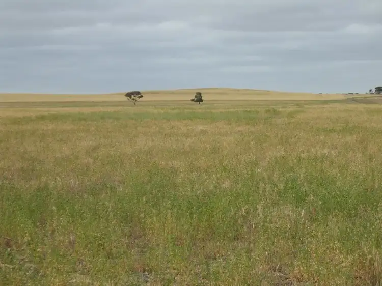 Sixth view of Homely rural property listing, Lot 14 Oaks Road, Parilla SA 5303
