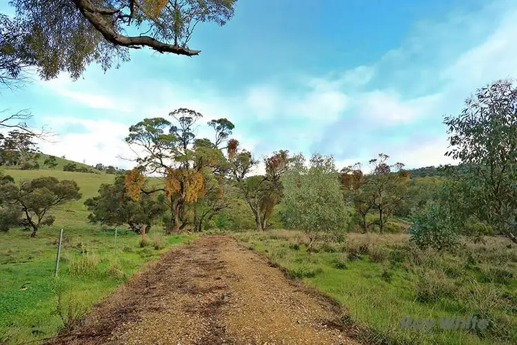 Third view of Homely rural property listing, Lot 7 Skillogalee Creek Road, Watervale SA 5452