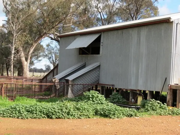 Third view of Homely rural property listing, 119 Bland Estate Road, Bribbaree NSW 2594