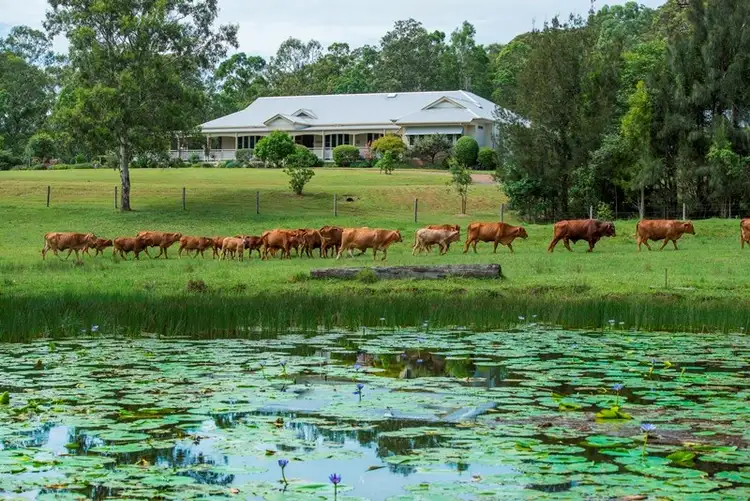 Second view of Homely rural property listing, 885 Browns Creek Road, Eerwah Vale QLD 4562