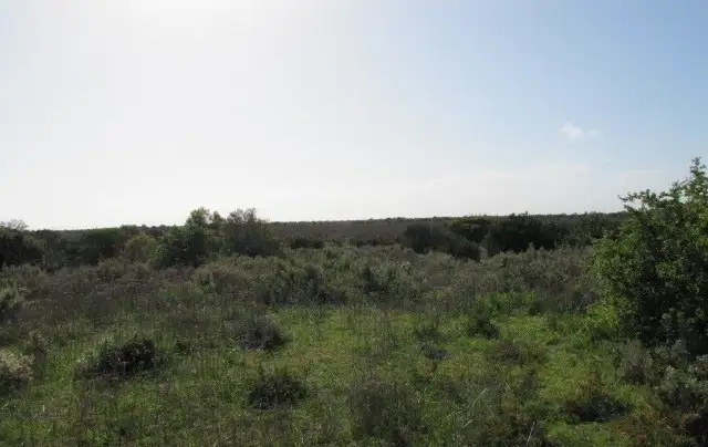 Second view of Homely land listing, 53 The Esplanade, Thompson Beach SA 5501