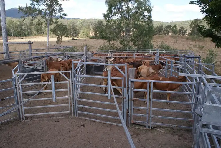 Second view of Homely rural property listing, 0 Rows Road, Gindoran QLD 4676