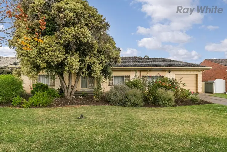 20 Windermere Avenue, Novar Gardens SA 5040
