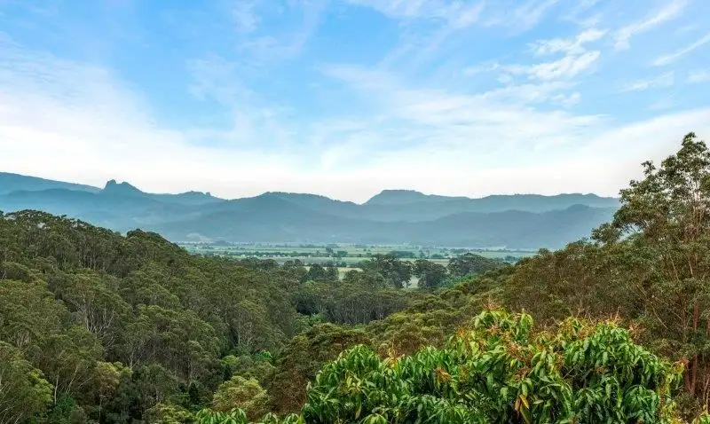 Main view of Homely land listing, 445 Clothiers Creek Road, Nunderi NSW 2484