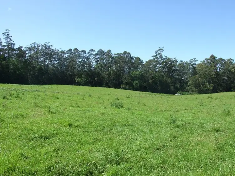 Fifth view of Homely rural property listing, 447 National Park Road, Ravensbourne QLD 4352