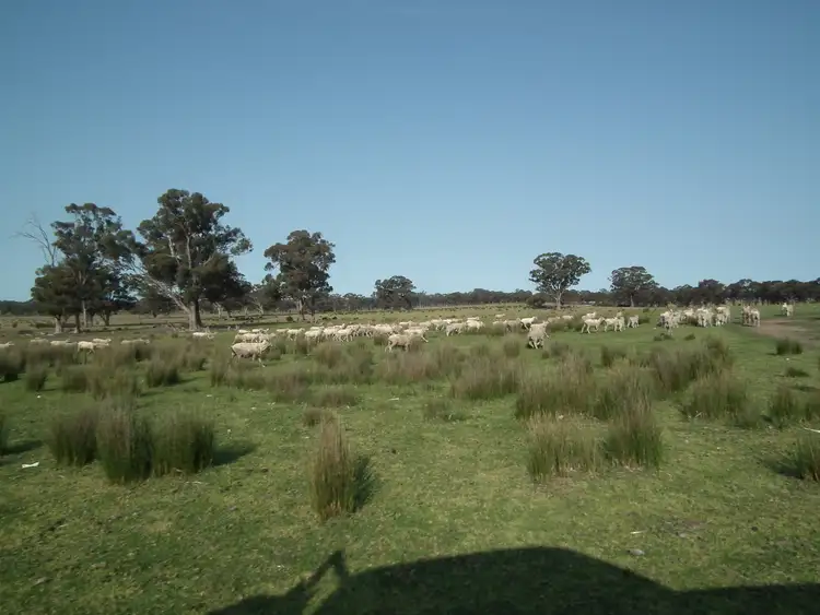Second view of Homely rural property listing, "Dwyers" Snipey Road, Kirwans Bridge VIC 3608
