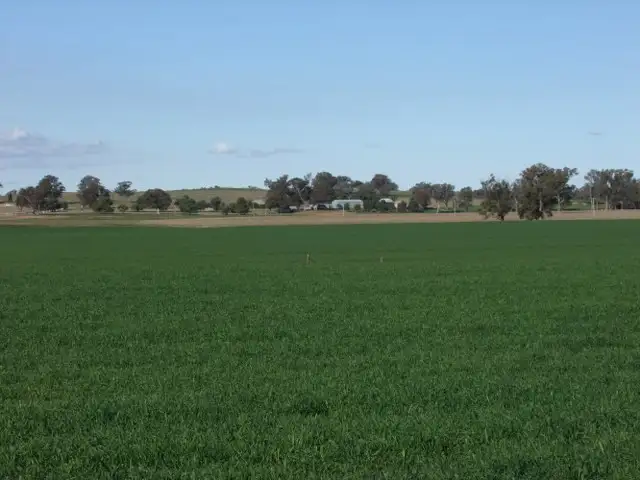 Main view of Homely rural property listing, Address available on request